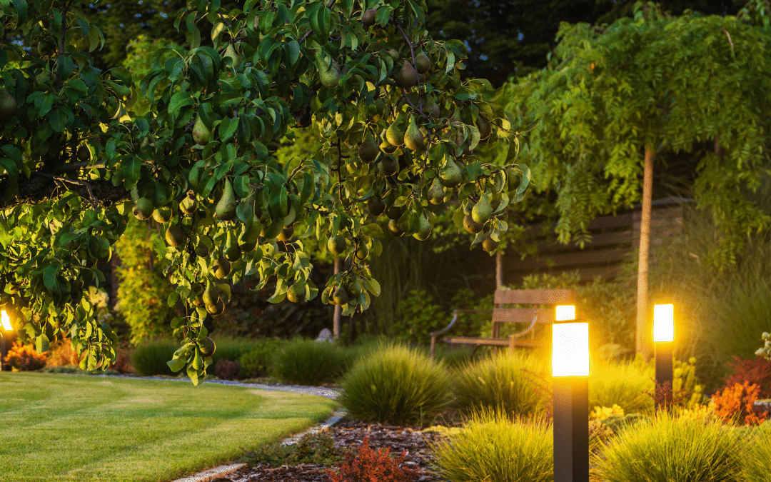Spring Into Light: Outdoor Lighting Solutions for Vancouver Island’s Warmer Seasons